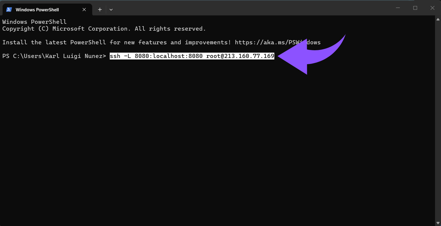 ssh -L 8080localhost8080 root@YOUR_SERVER_IP.png