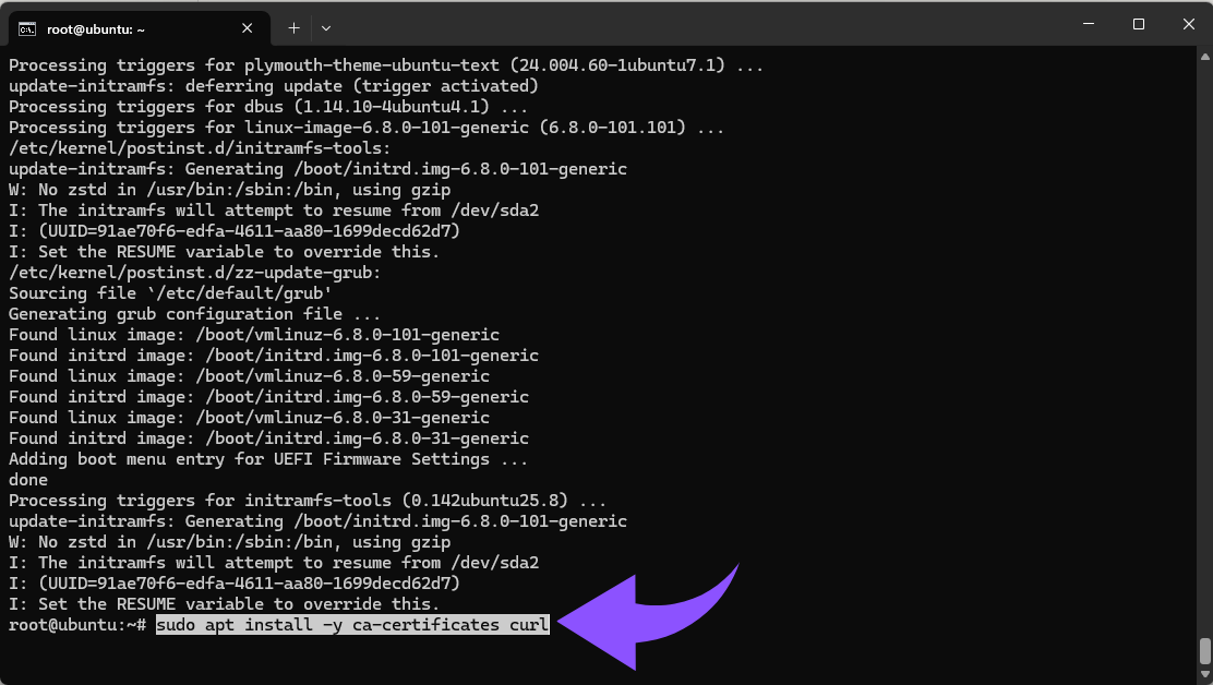 sudo apt install -y ca-certificates curl.png