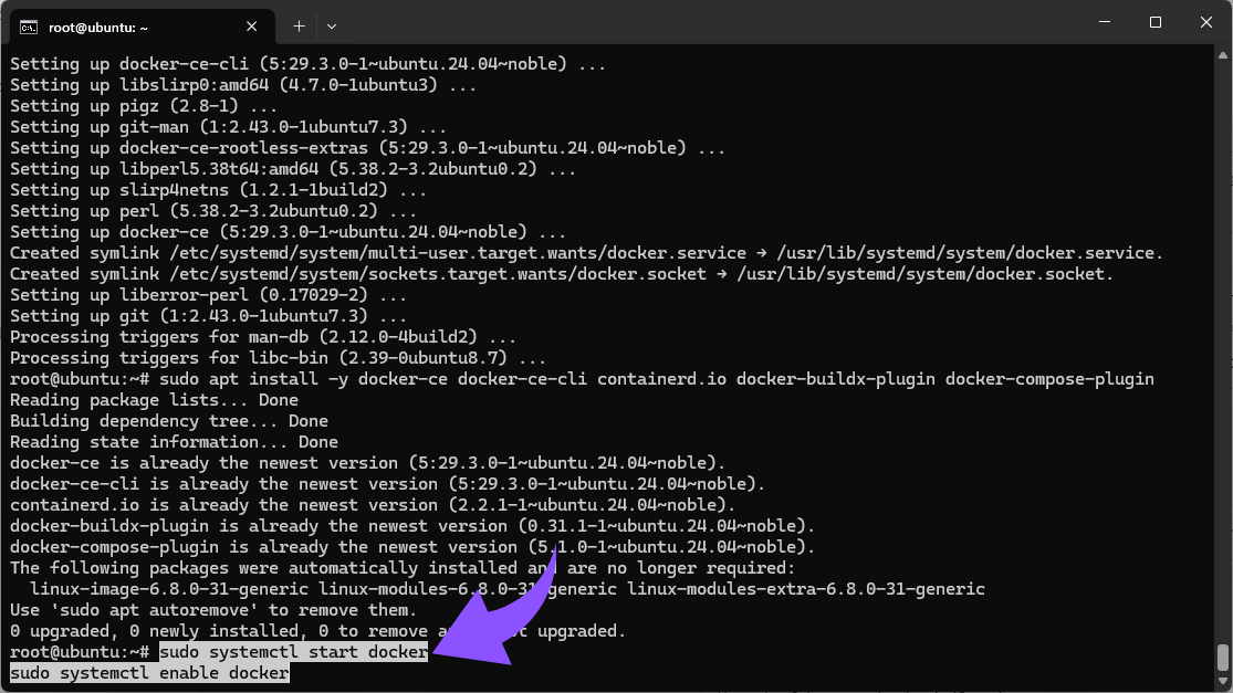 sudo systemctl start docker sudo systemctl enable docker.png