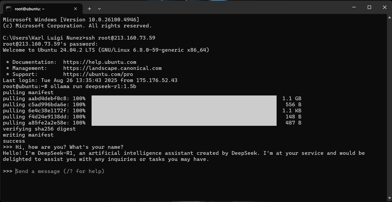 Mit Deepseek über das Terminal interagieren