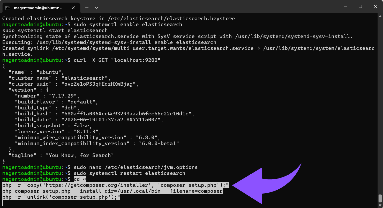Installiere Composer 2 global