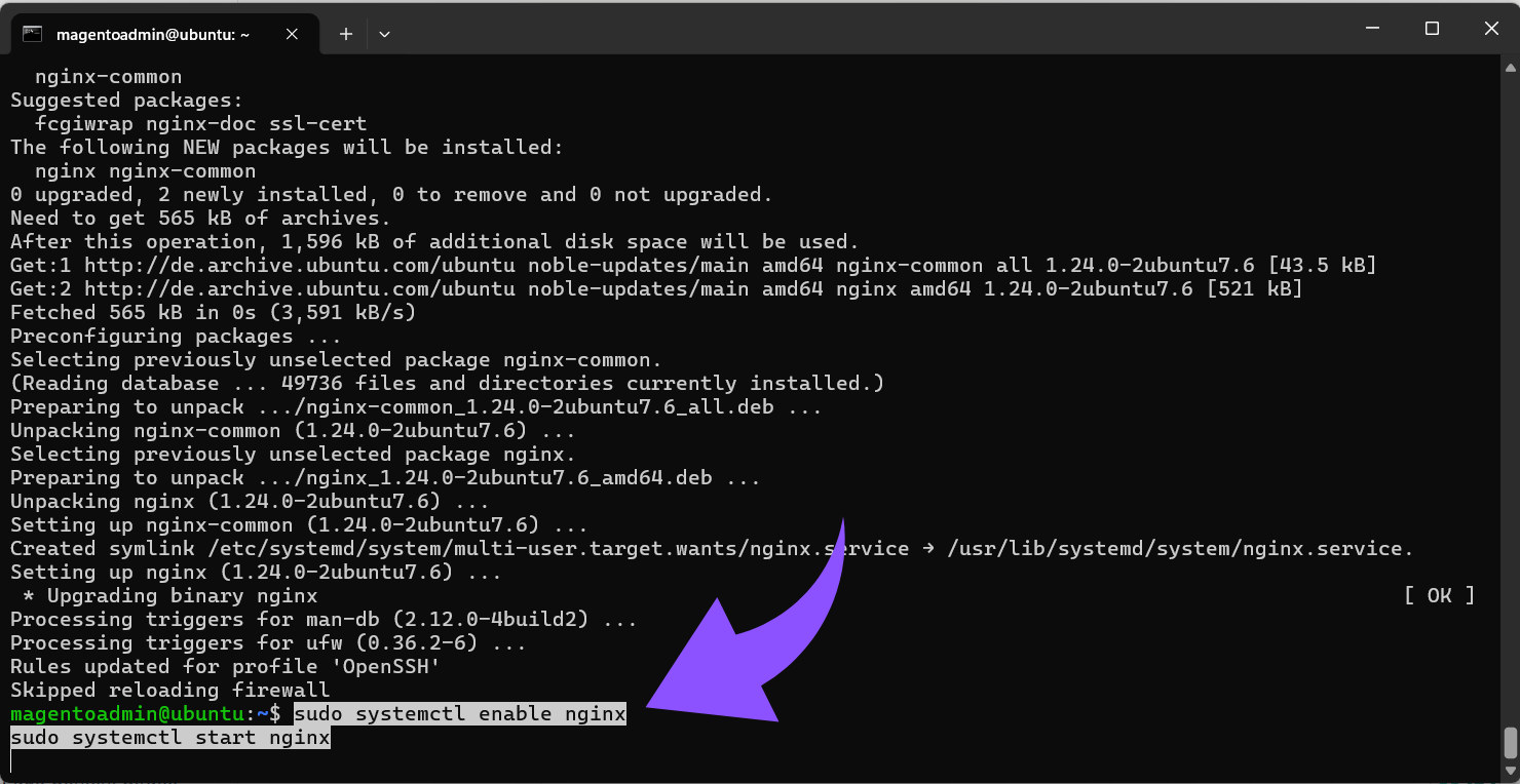 sudo apt install -y nginxsudo systemctl enable nginxsudo systemctl start nginx.png