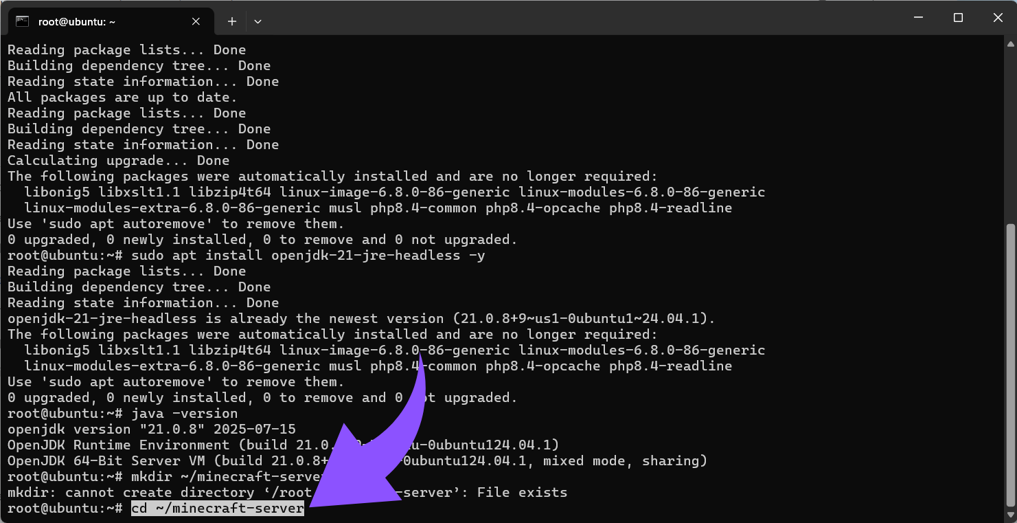 cd ~minecraft-server