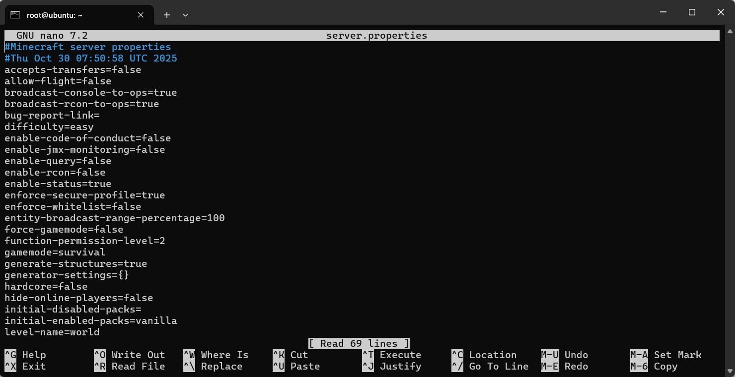 Inhalt der Datei „nano server.property