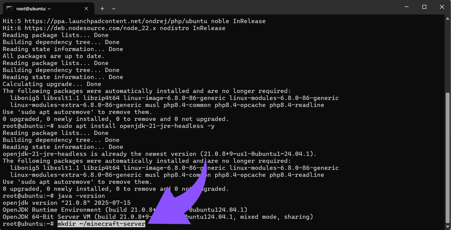 mkdir ~minecraft-server