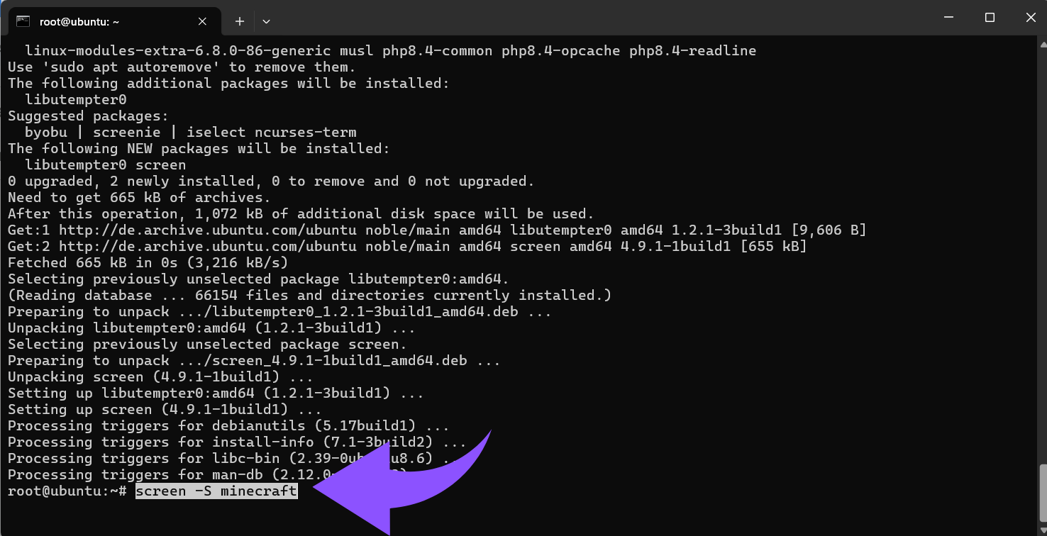 Bildschirm -S Minecraft