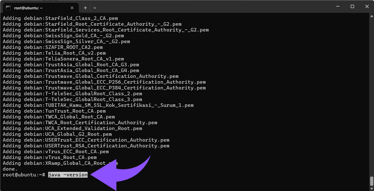 Überprüfe die Java-Version