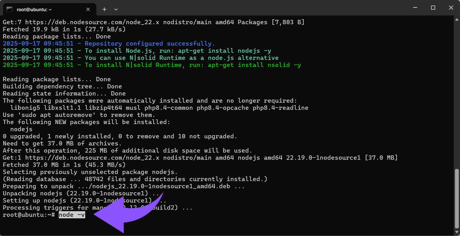 Node Version überprüfen