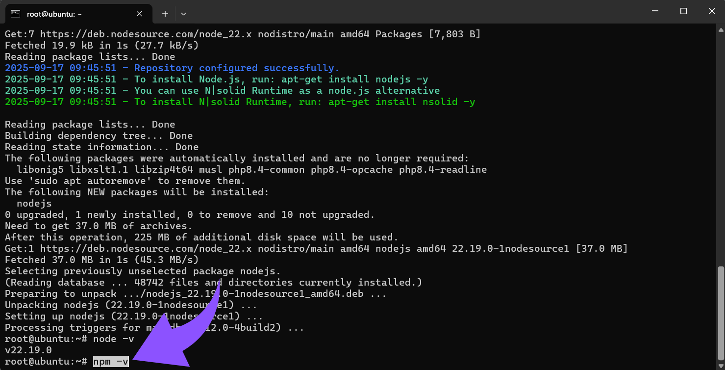 npm Version überprüfen
