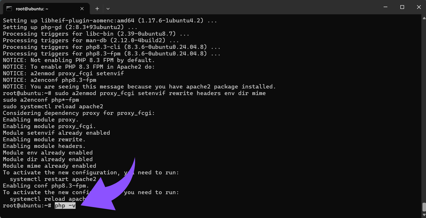 Check PHP version.png