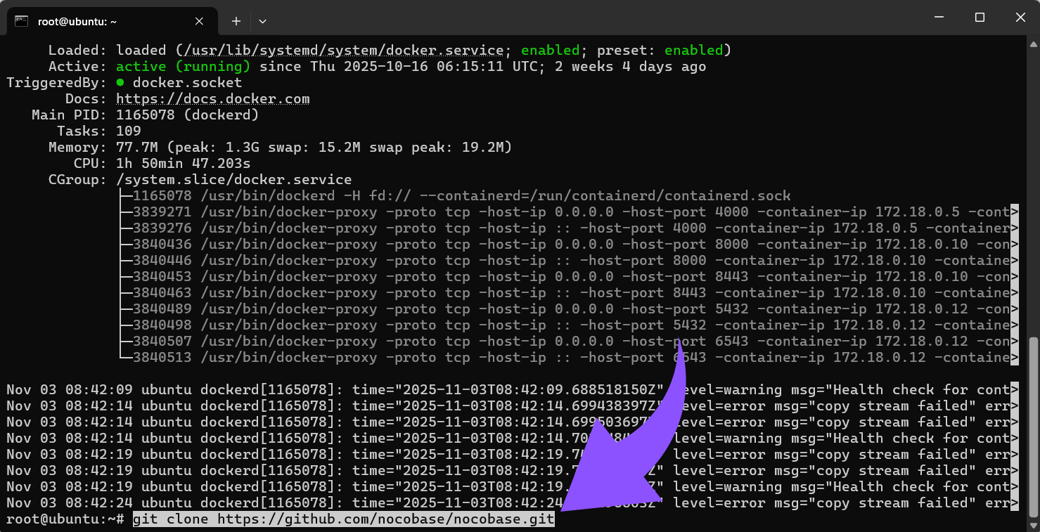 Klone das offizielle NocoBase-Repository