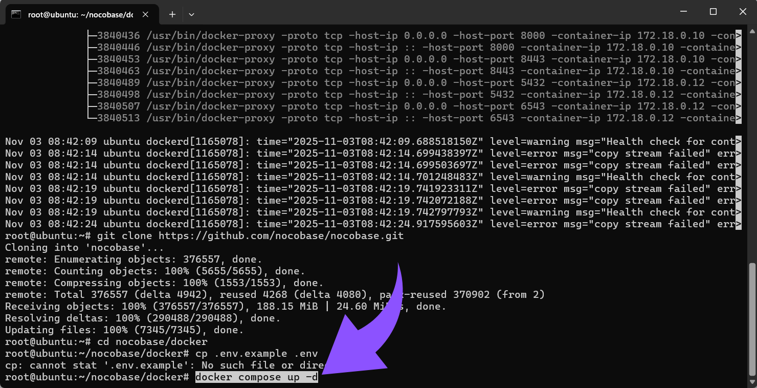 Starte die NocoBase-Dienste