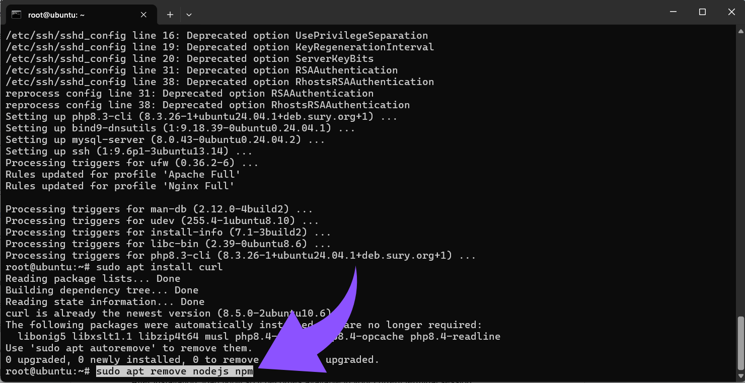 Alle vorhandenen globalen Node.js-Installationen löschen