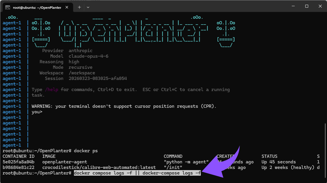 docker compose logs -f docker-compose logs -f.png