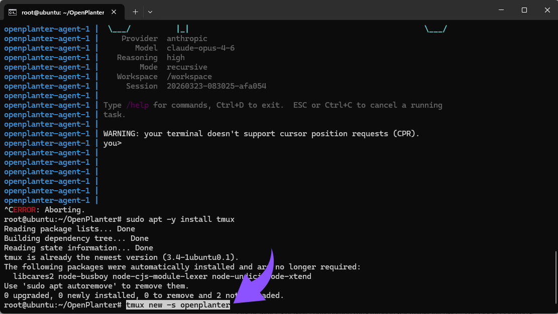 tmux new -s openplanter.png
