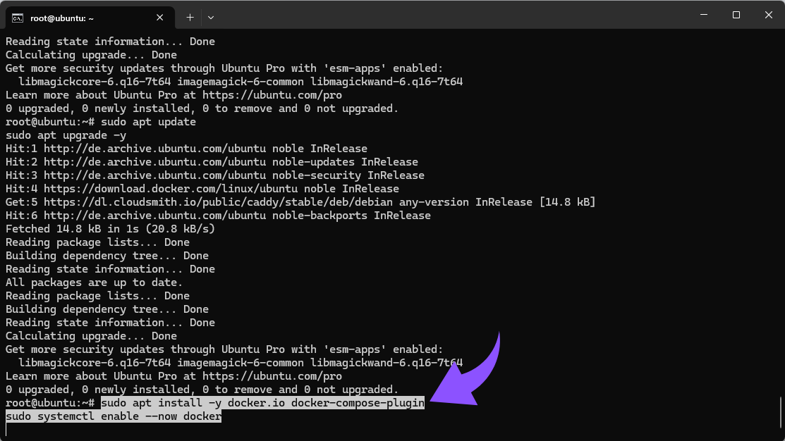 sudo apt install -y docker.io docker-compose-plugin sudo systemctl enable &ndash;now docker.png