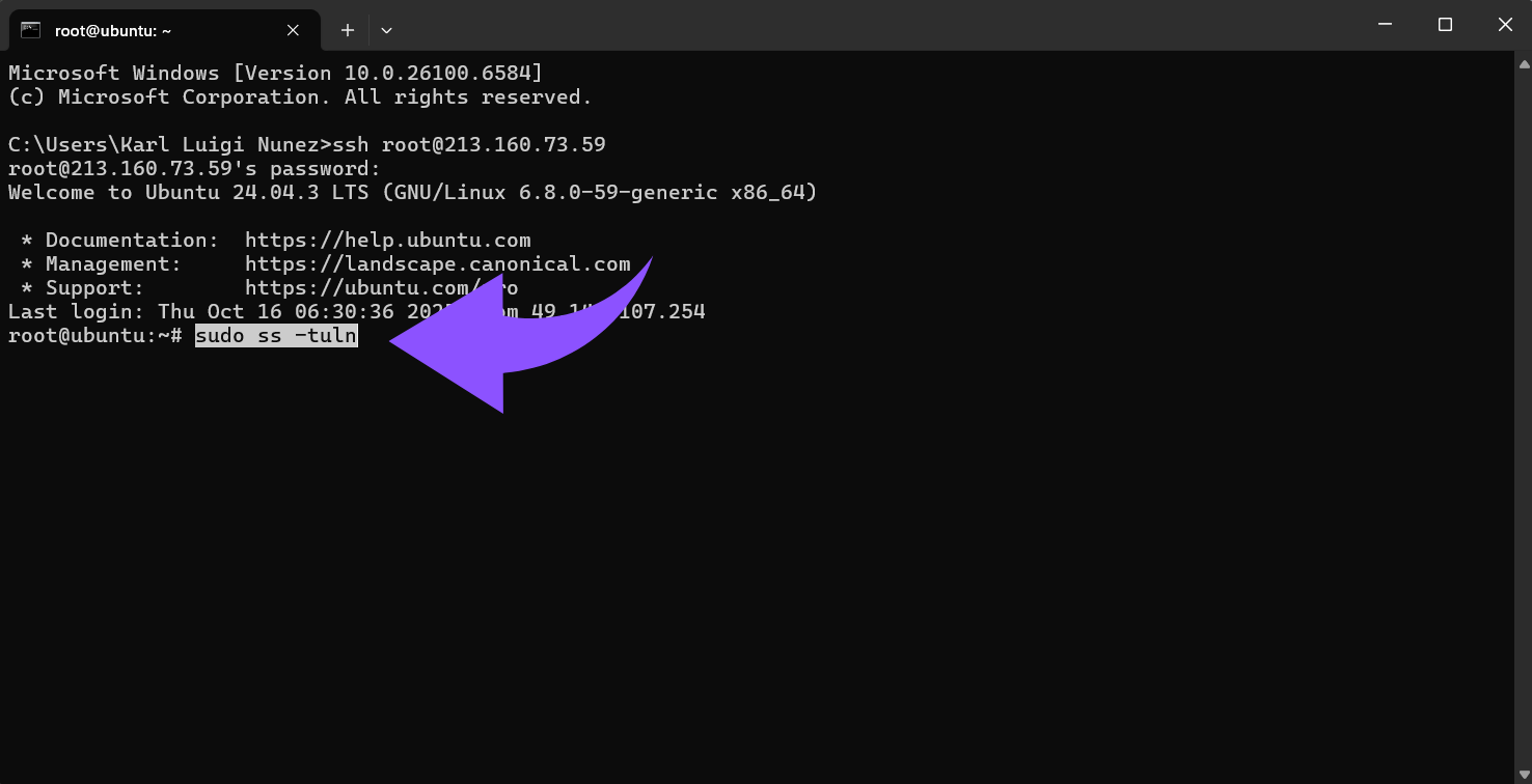 Überprüfen, welche Ports auf deinem VPS offen sind