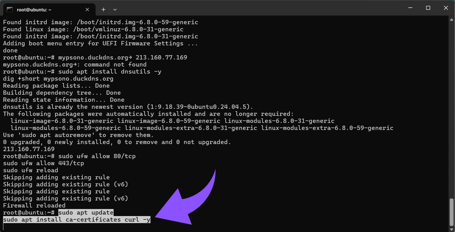 sudo apt updatesudo apt install ca-certificates curl -y.png
