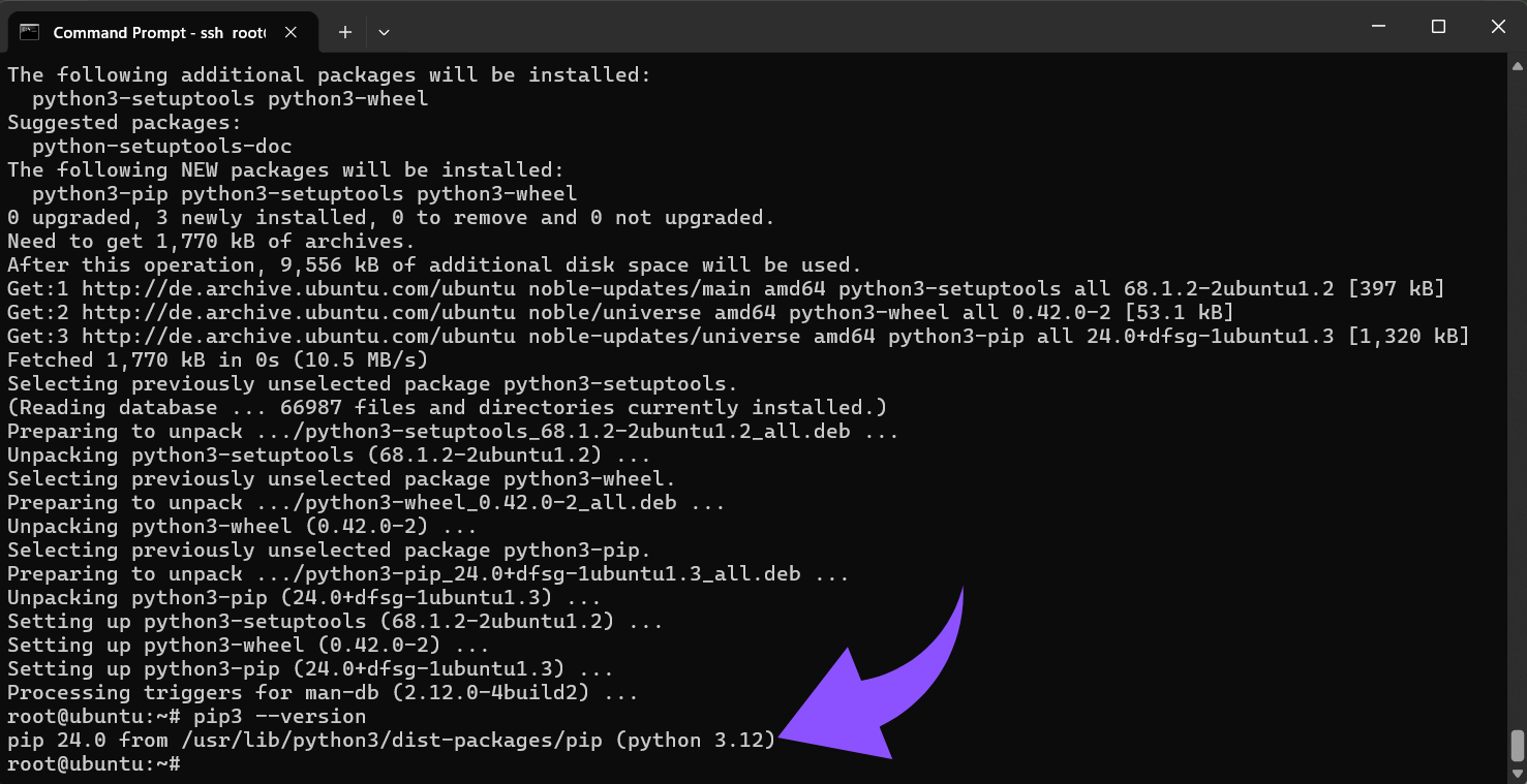 Ergebnis der Pip-Version