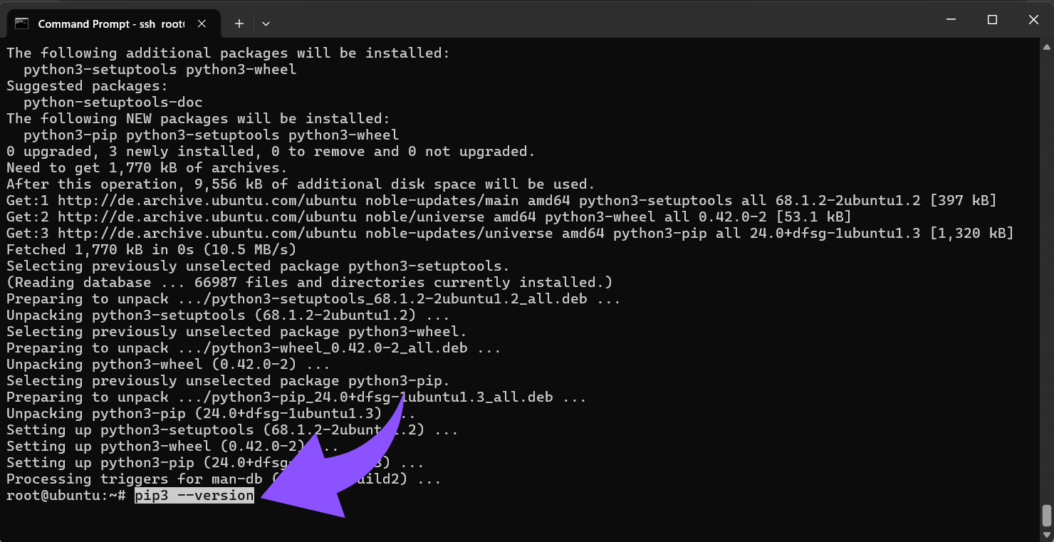 Überprüfe die Installation von pip
