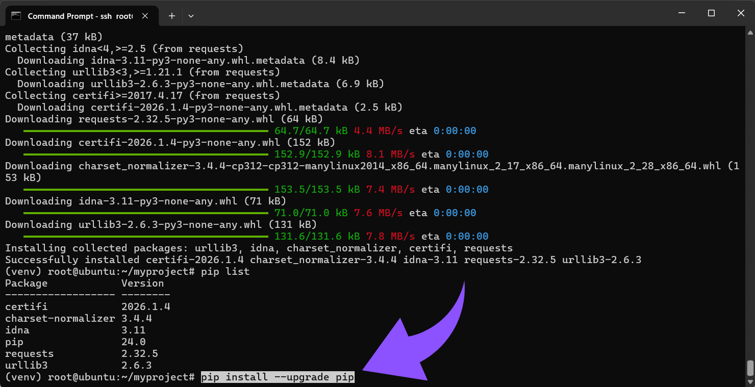 Pip sicher aktualisieren