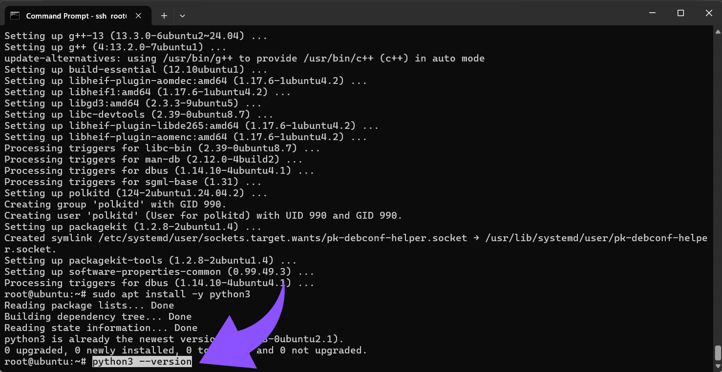 Python-Installation checken