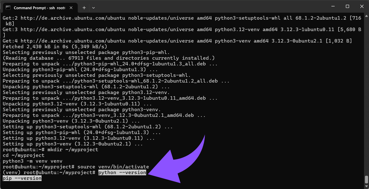 Python- und Pip-Version checken