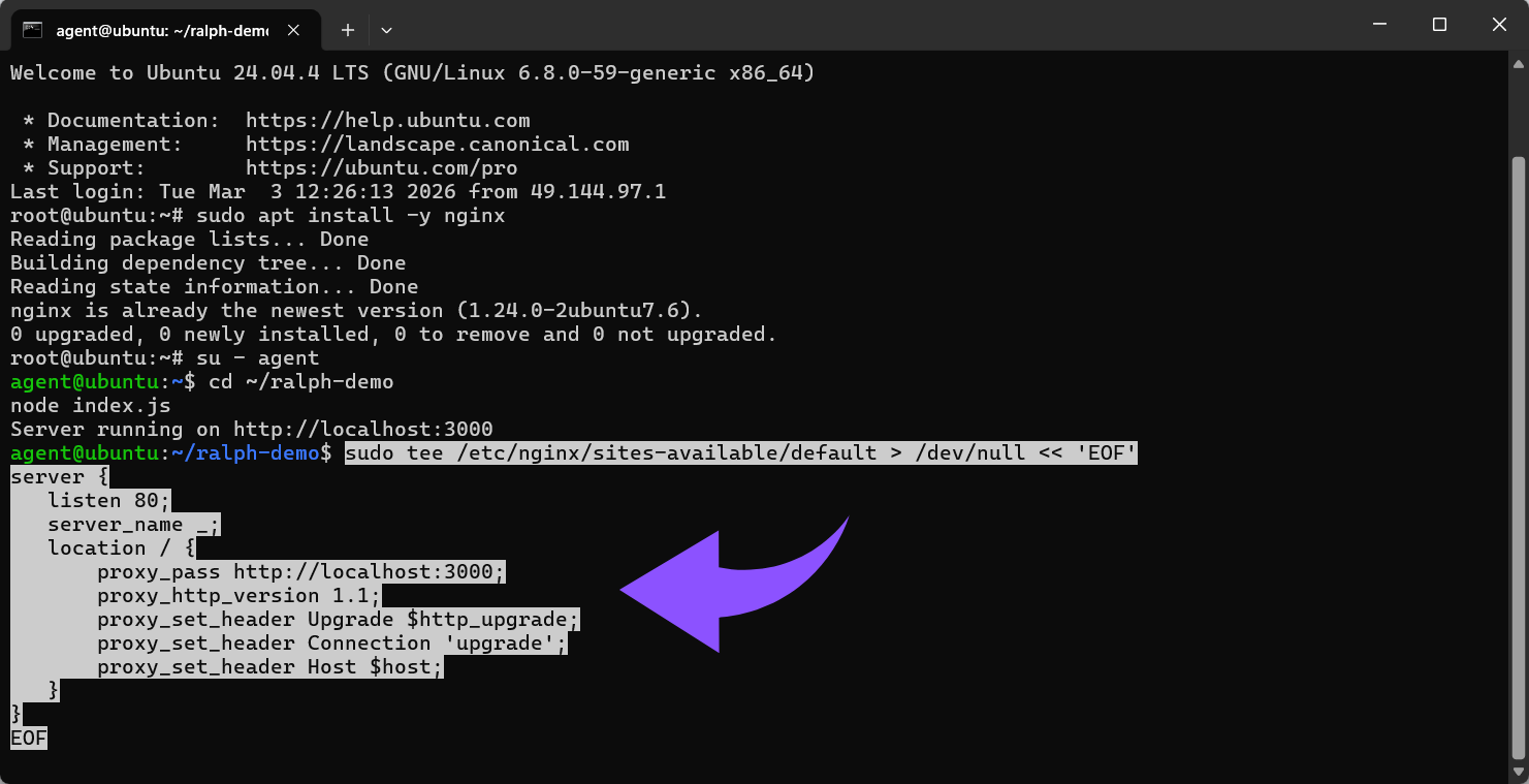 Nginx als Reverse-Proxy einrichten.png