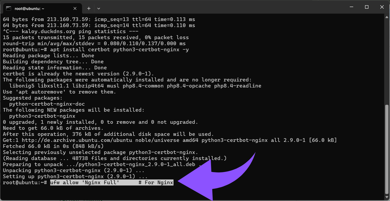 HTTP (Port 80)