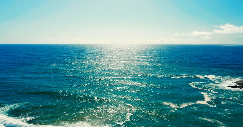 .ac Domain Registrieren