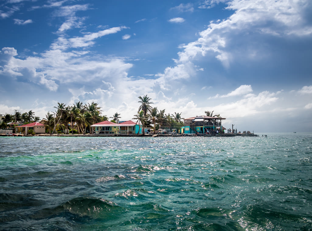 .bz Domain Registrieren