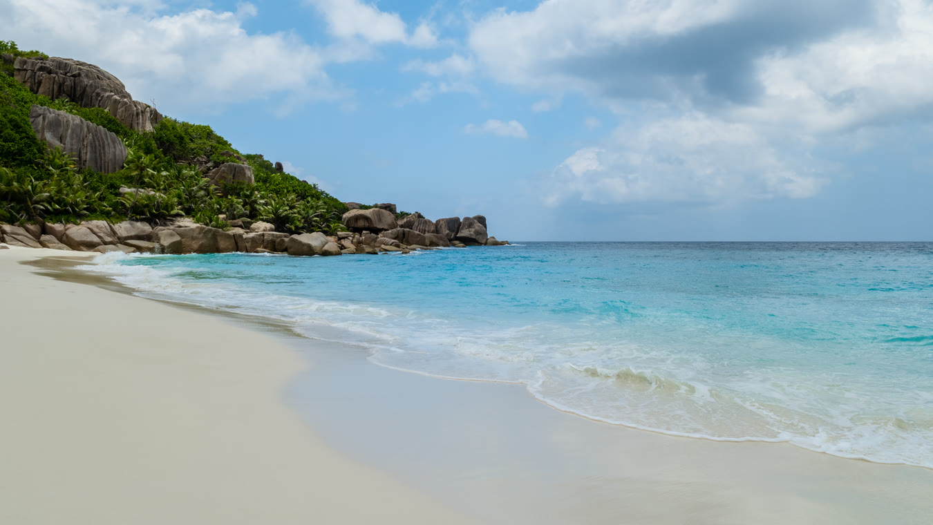 .cc Domain Registrieren