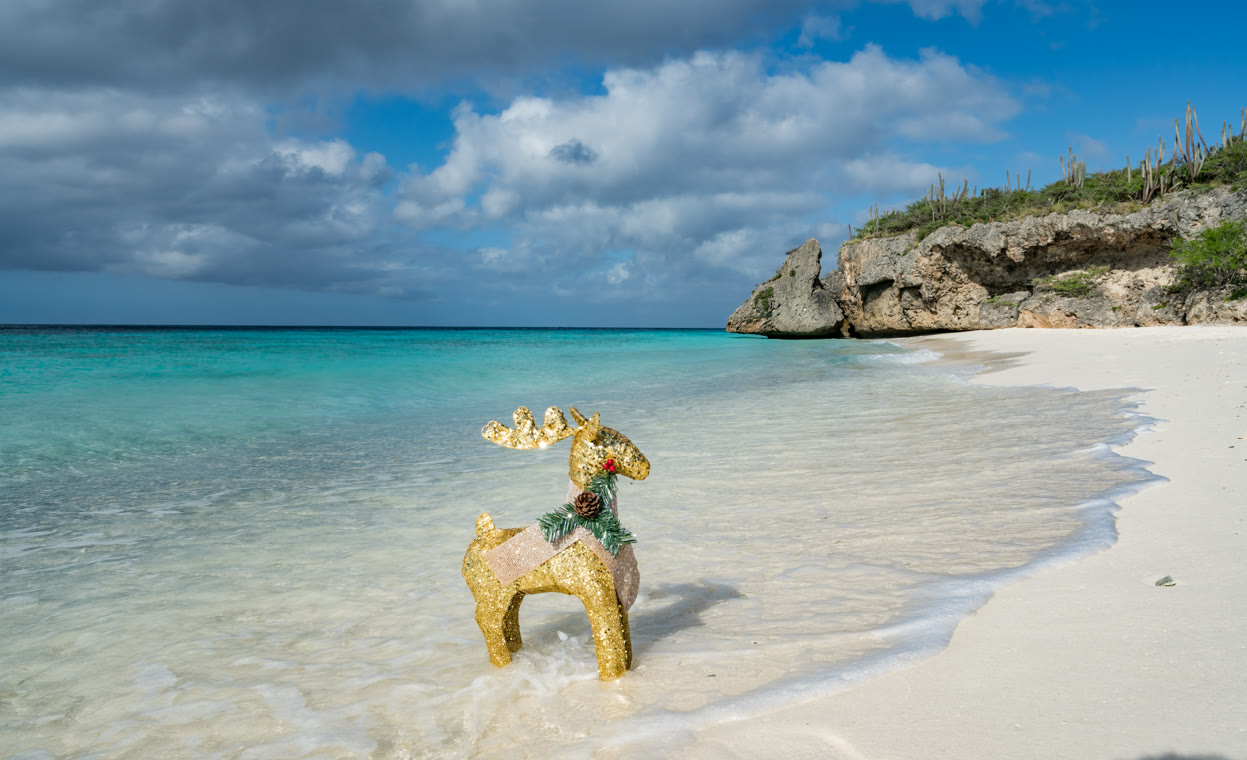 .cx Domain Registrieren