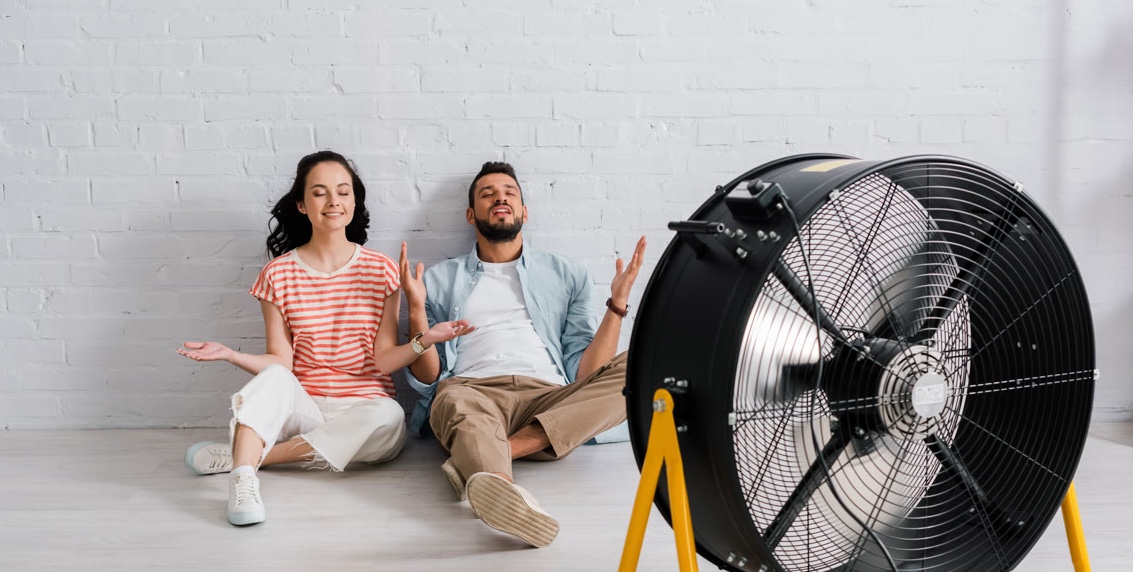 .fan Domain Registrieren