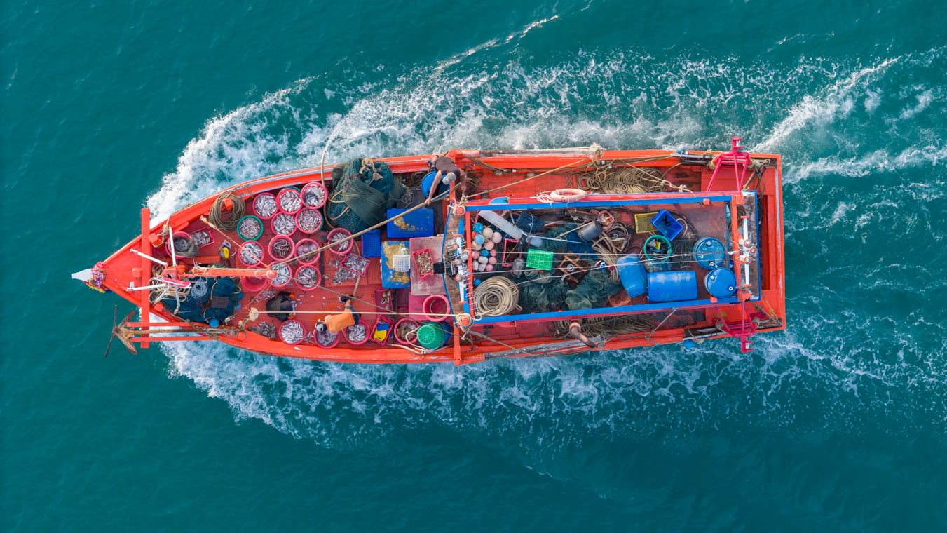 .fishing Domain Registrieren