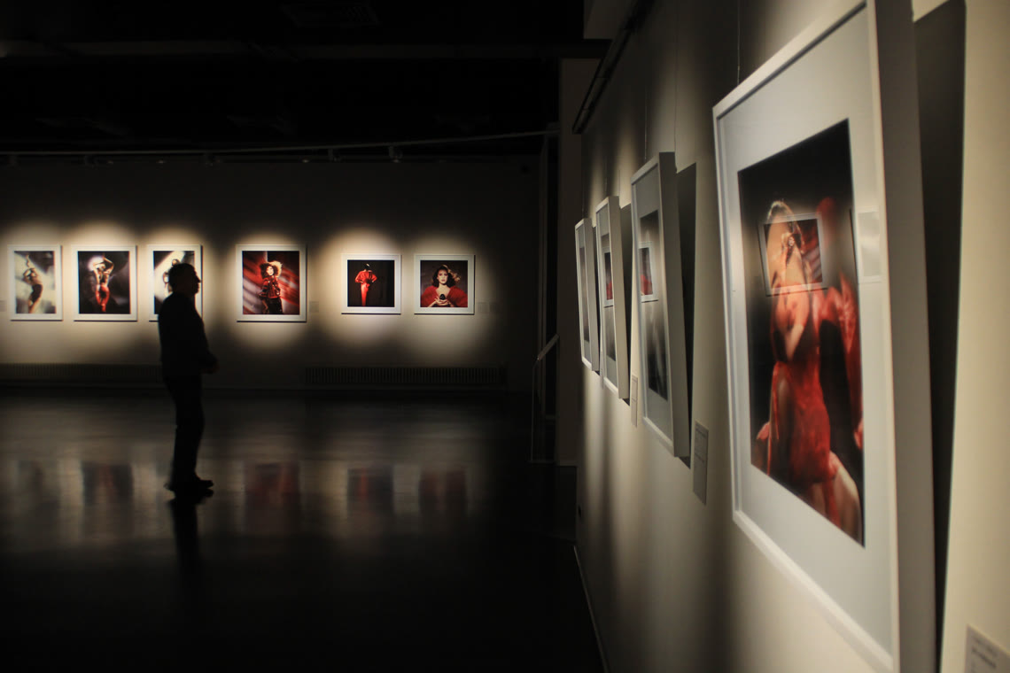 .gallery Domain Registrieren