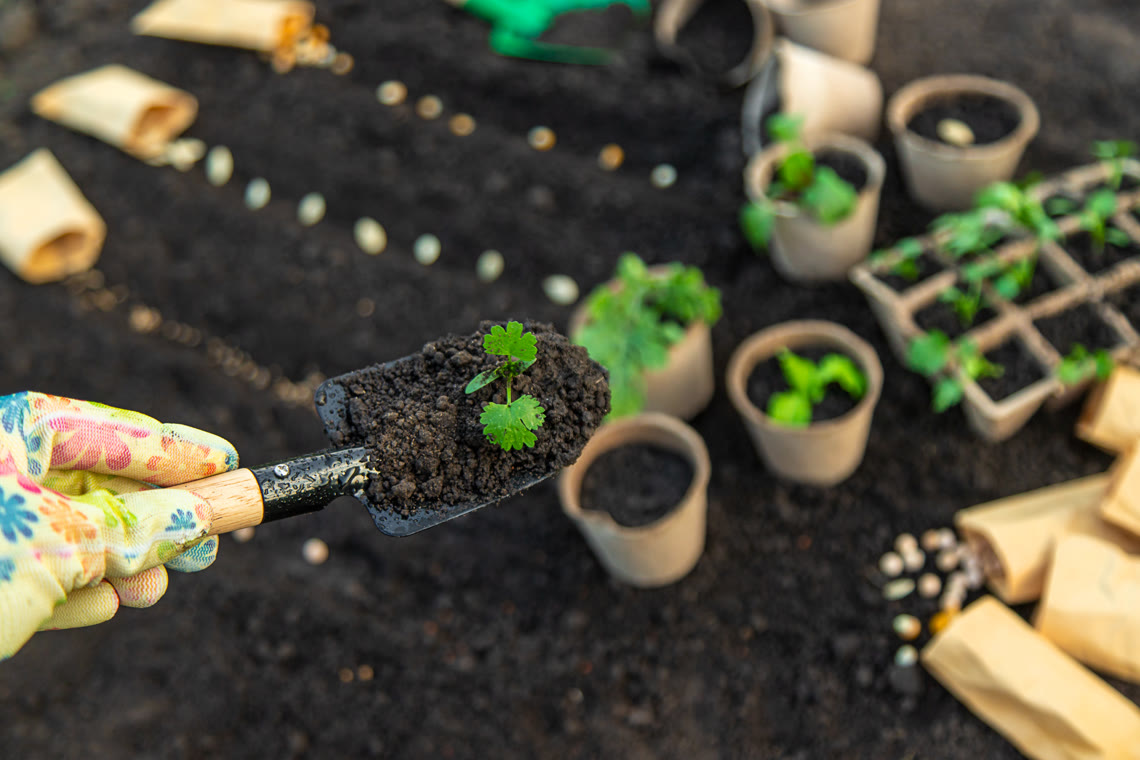 .garden Domain Registrieren