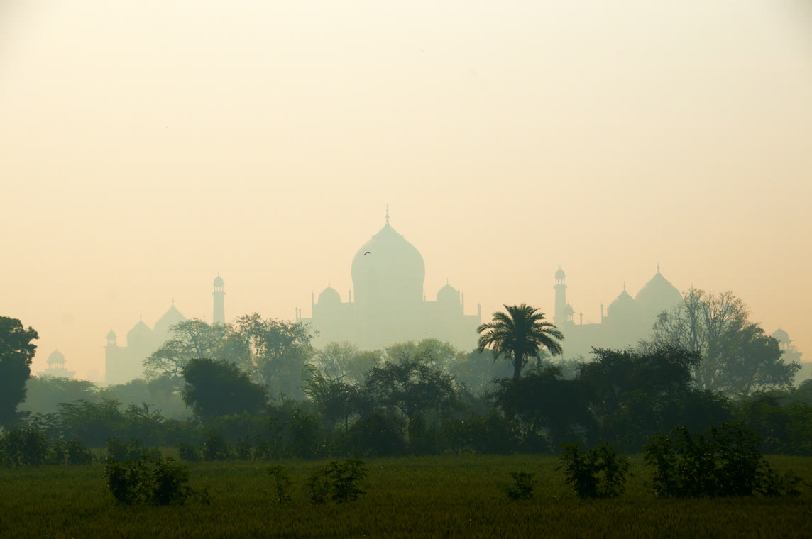 .in.net Domain Registrieren