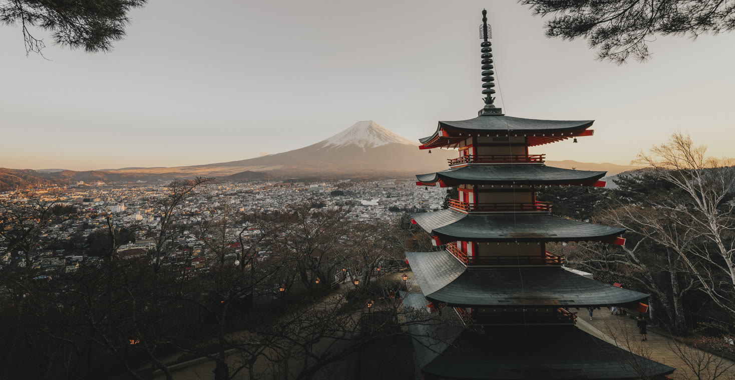 .jp Domain Registrieren