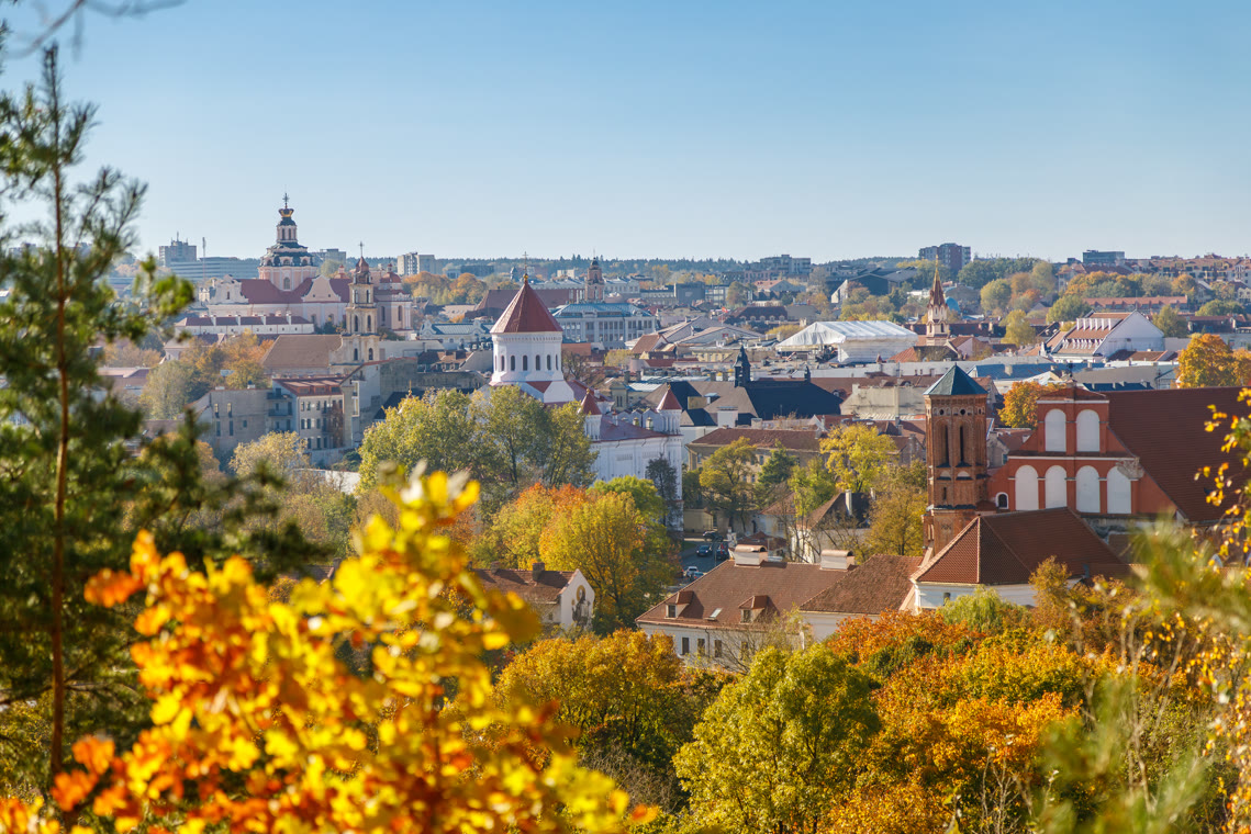 .lt Domain Registrieren