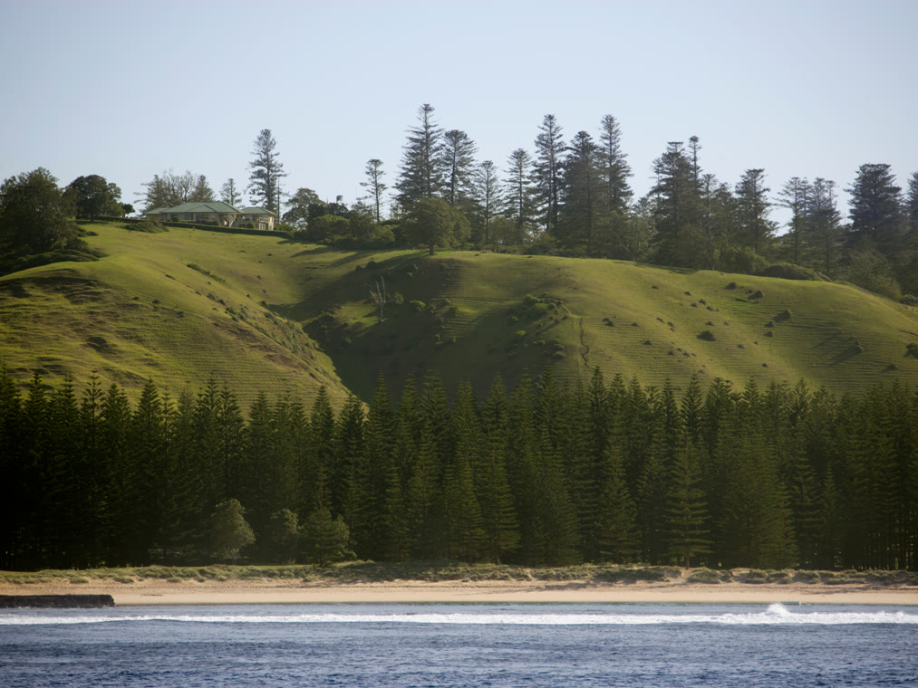 .nf Domain Registrieren