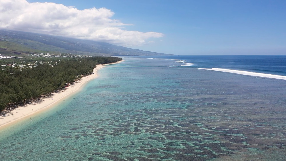 .re Domain Registrieren