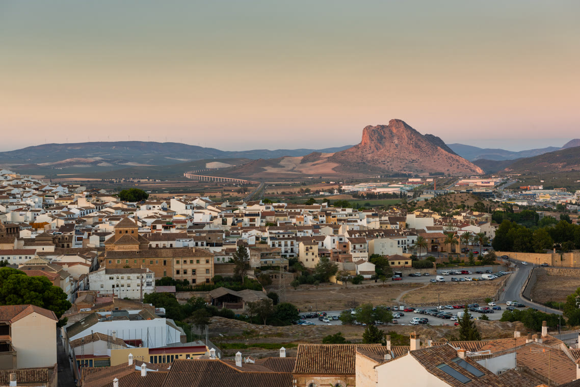 .soy Domain Registrieren