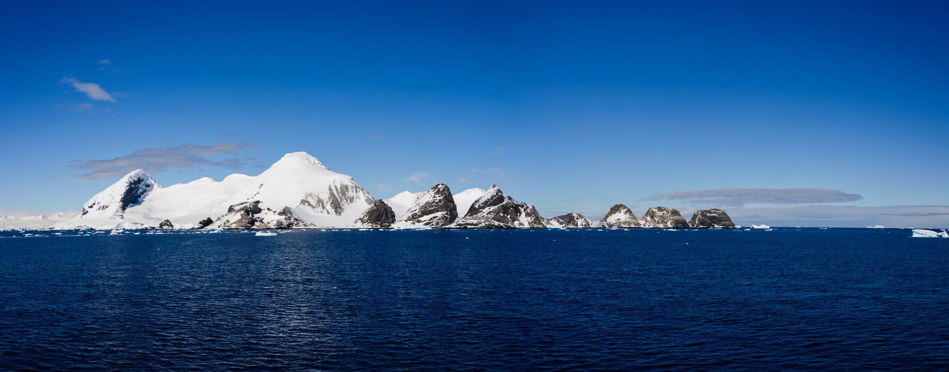 .tf Domain Registrieren