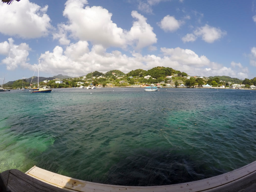 .vc Domain Registrieren