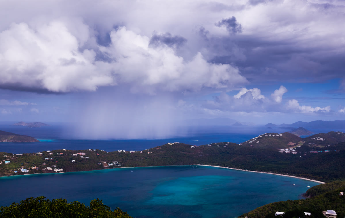 .vi Domain Registrieren