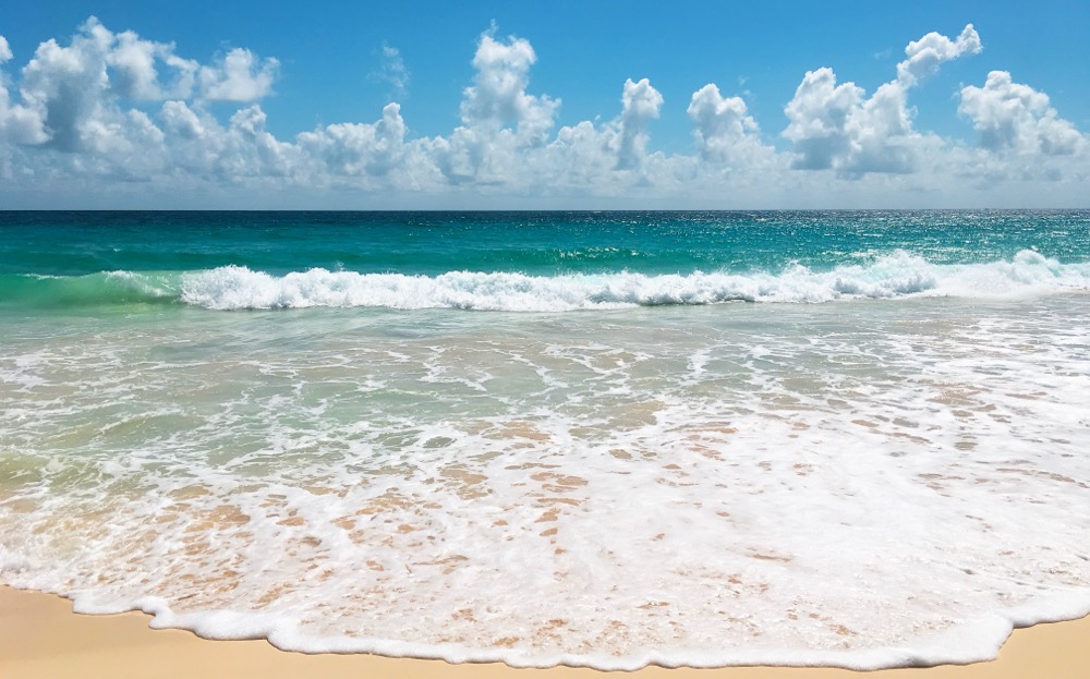 .wf Domain Registrieren