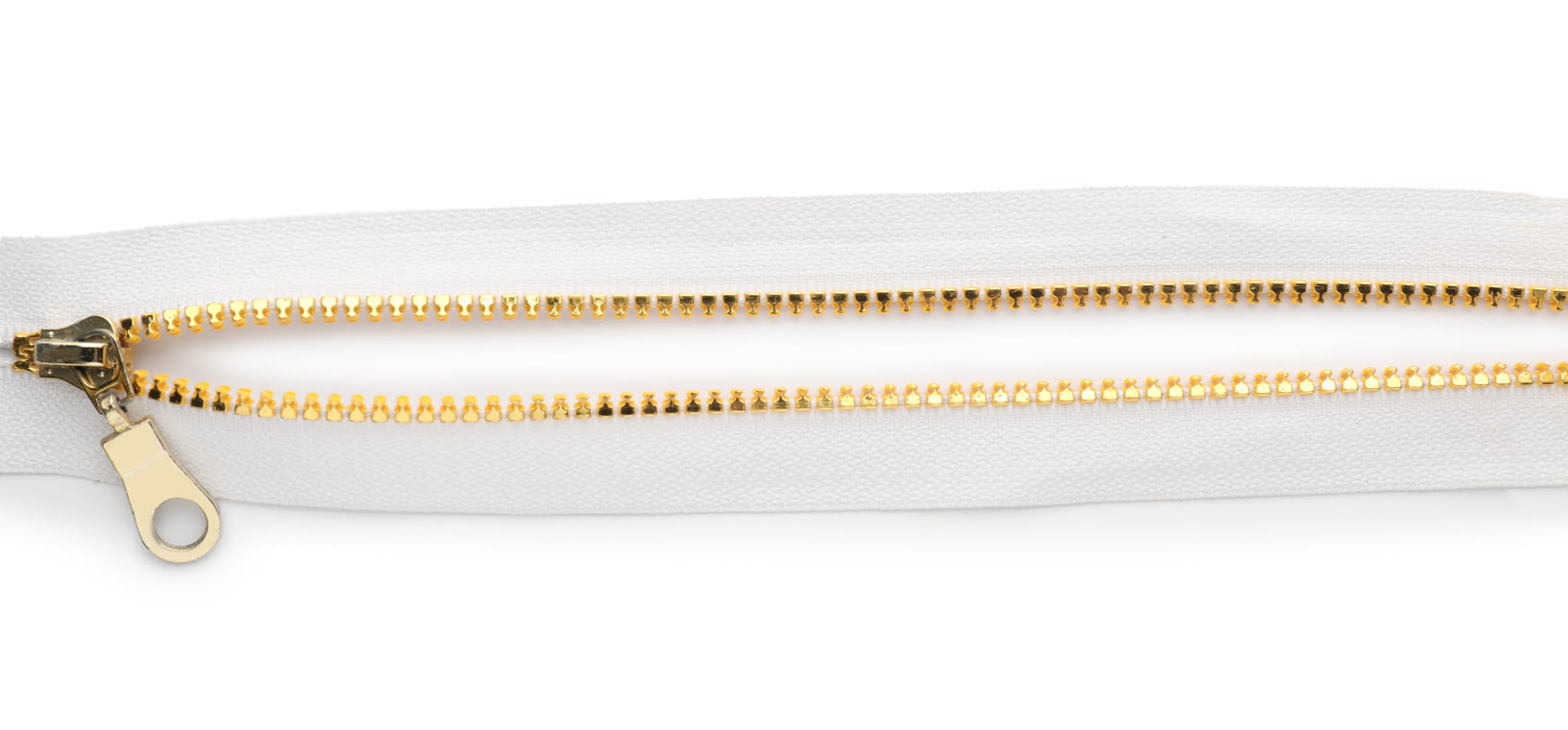 .zip Domain Registrieren